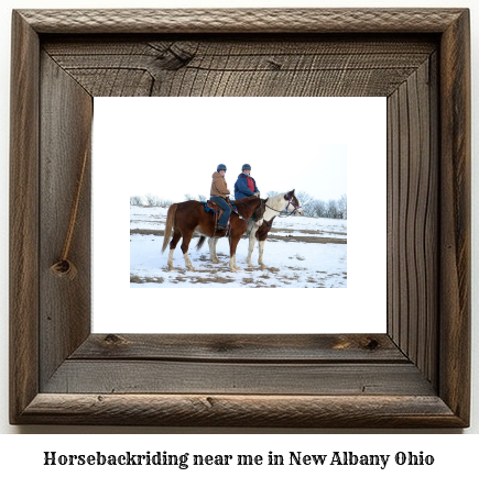 horseback riding near me in New Albany, Ohio